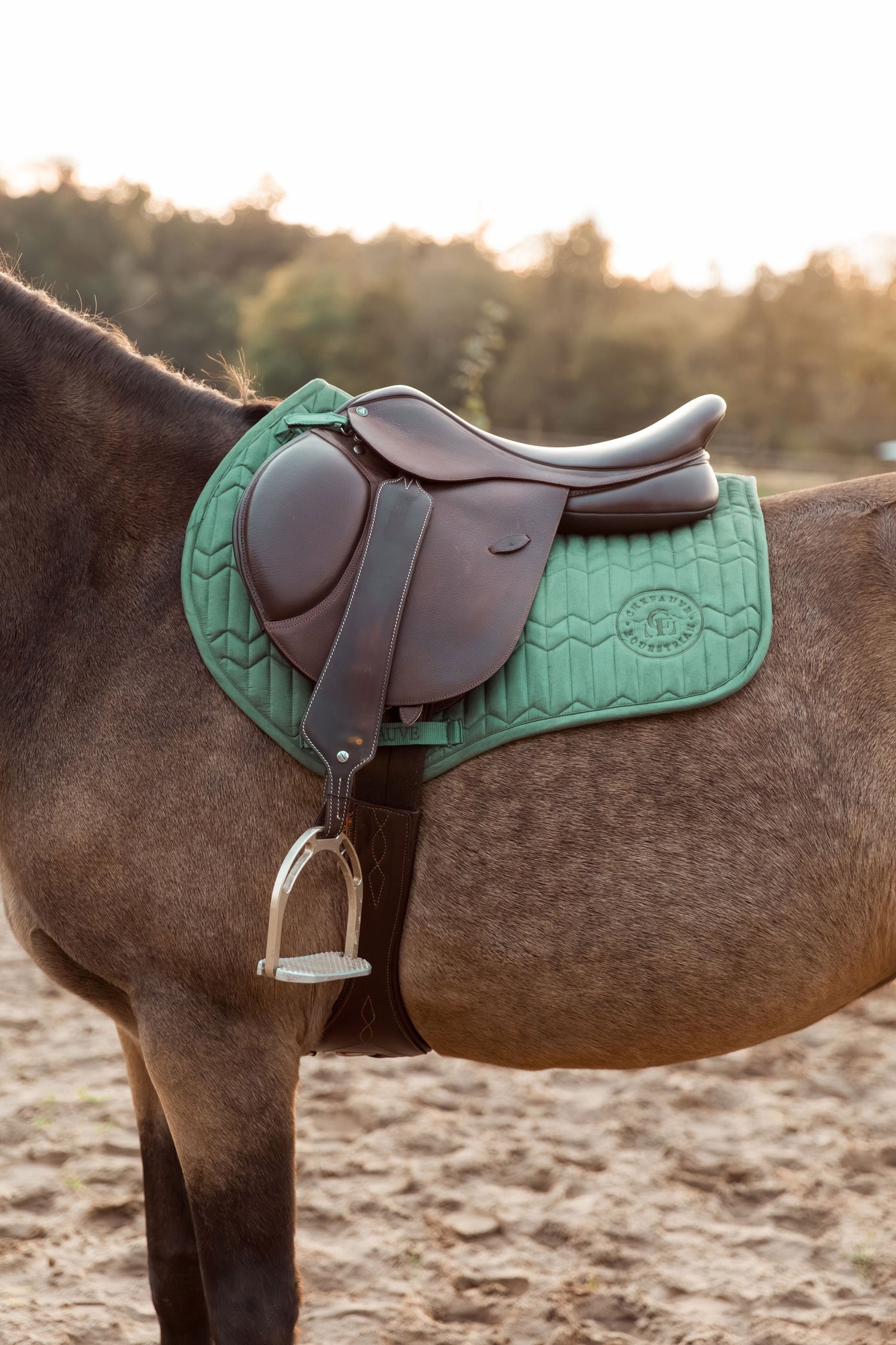 Zadeldek spring paard pony