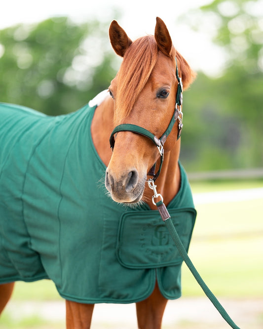 CheFauve Fleece Blanket