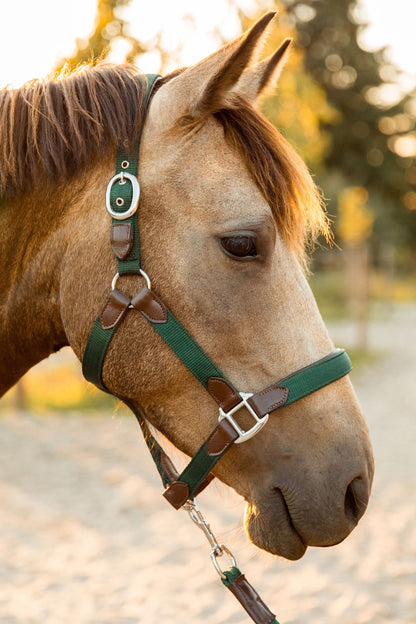CheFauve luxe halster pony cob full deep green