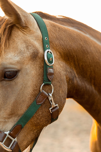 CheFauve luxe halster pony cob full deep green